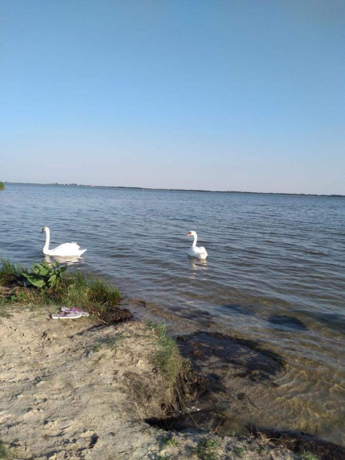 Лазурний Берег Pulemets Exterior foto